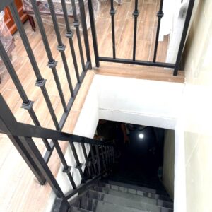 Cầu thang sắt NTP009